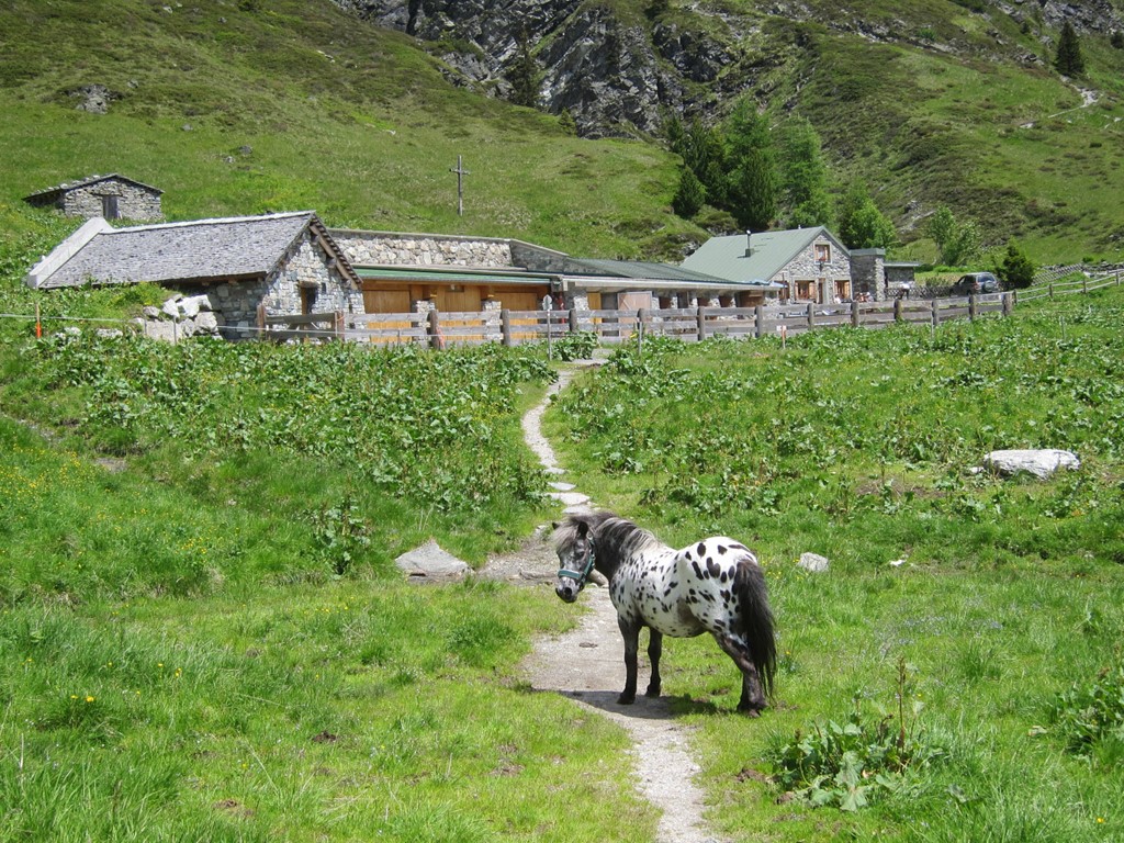 Bergfrühstück - Nova Stoba - Panoramaweg