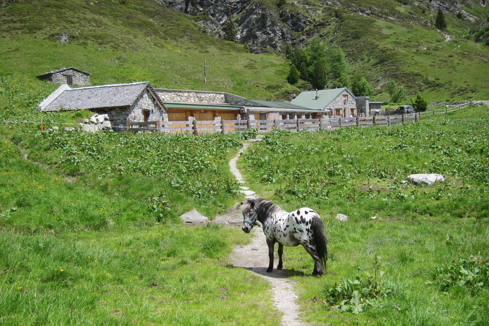 Bergfrühstück - Nova Stoba - Panoramaweg